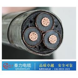 高压电缆 高压电缆生产厂家 陕西电缆厂 优质商家